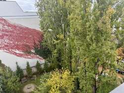 Ausblick Innenhof Ausblick Innenhof